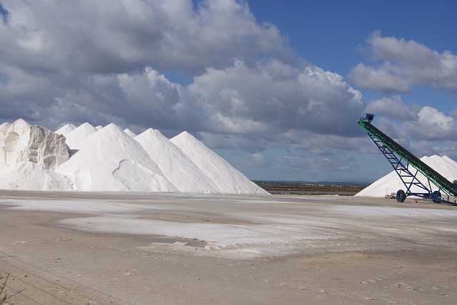 sůl průmyslová
